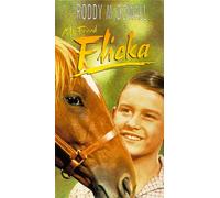 Mcdowell - My Friend Flicka [VHS]