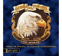 Mcfarland, Gary - America the Beautiful: An Account of It's