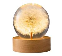 MCHERRY Preserved Dandelion Crystal Ball Night Light,3D Crystal Ball with Led Wooden Base for Christmas Thanksgiving Birthday, Home Room Decor LED Night - USB Powered (Big Dandelion, 6CM)