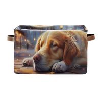 MCHIVER Sleeping Retriever Street Amber Storage Bins with Handles Foldable Sturdy Cube Organizer Baskets for Closet Toys Books Nursery Clothes, 14.2x10.2x8.3 Inches