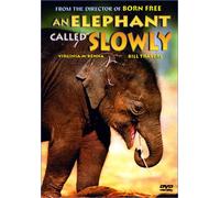 Mckenna - Elephant Called Slowly [DVD] [1969] [Region 1] [US Import] [NTSC]