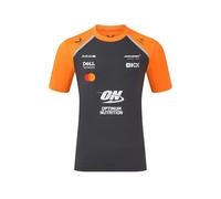 McLaren Formula 1 Team Setup T-Shirt, 2025 Season, Grey and Orange, Official Racing Merchandise (UK, Alpha, S, Regular, Regular, Phantom/Autumn Glory)
