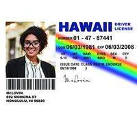 McLovin ID Card - Fun, Full-Colour, Double-Sided Superbad Fake Licence for Teens, Students - Perfect for Halloween, Parties, Fancy Dress Costume - Super Bad Mc Lovin Card PVC (Custom Photo, 1)