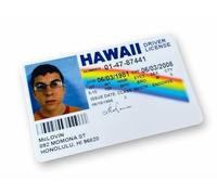 McLovin Superbad Plastic ID Card - Film Novelty Prop - Same Size as Credit Card 85mm x 55mm