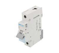 MCN102E overcurrent switch 230/400VA 2A pole: 1 for DIN rail HAGER