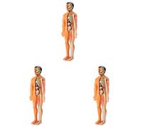 Mcnhbdgg 3X 3D Human Body Anatomy Model Children Plastic DIY Skeleton Toy Science Early Learning Aids Educational Toys