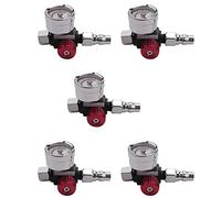 Mcnhbdgg 5Pc 1/4 Inch Mini Air Regulator Valve Tool Small Tail Pressure Gauge 48 x 60mm with Nozzle for Tool