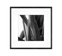 MCS Gallery Wall Frame, Black, 12 x 12 in matted to 8 x 8 in