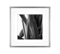 MCS Gallery Wall Frame, Dark Silver, 12 x 12 in matted to 8 x 8 in