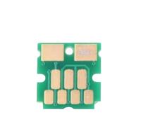 MCUXMVUMI Maintenance Box Chip PXMB5 T2950 T295000 Compatible With WorkForce WF 100 WF 100W PX S05(30pcs)