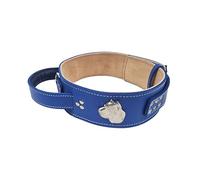 MD Gear Cane Corso Silver Heavy Duty 2.5 inch Wide Leather Dog Collar with Cane Corso Head Motif with Strong Handle for Better Control (Blue, Medium: 20" - 25")