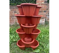 MD MUZ 6 x Terracotta Brown Trio Stacking Planter Strawberry Flower Herb Stackable Garden Plant Pot