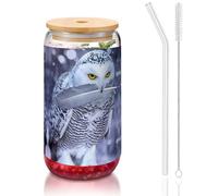 MDATT Arctic Owl Printing 16oz Drinking Glasses with Lids and Straws,Cute Water Glasses for Juice,Beer,Coffee,Tea