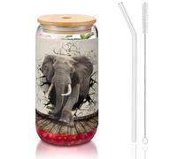 MDATT Broken Wall Elefant Printing 16oz Drinking Glasses with Lids and Straws,Cute Water Glasses for Juice,Beer,Coffee,Tea