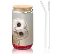 MDATT Funny Owl Printing 16oz Drinking Glasses with Lids and Straws,Cute Water Glasses for Juice,Beer,Coffee,Tea