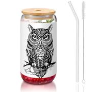 MDATT Owl Printing 16oz Drinking Glasses with Lids and Straws,Cute Water Glasses for Juice,Beer,Coffee,Tea