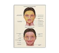MDBJTCYZN Advanced Facial Anatomy Poster Fat Pads Chart for Surgery Aesthetics Office Training Wall-Art(Framed,16x24inch(40x60cm))