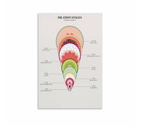 MDBJTCYZN Birth Class Visual Aid Poster Cervical Dilation Stages During Labour Canvas Painting for Classroom Labor Delivery Room(Unframed,16x24inch(40x60cm))