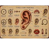 MDBJTCYZN Boho Ear Piercing Chart Metal Sign Eclectic Wall Decor for Bedroom Dressing Room Lounge 8 X 12 in