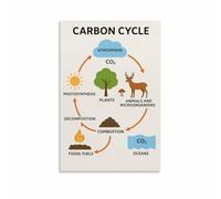 MDBJTCYZN Earth Science Poster - Understanding the Carbon Cycle, Detailed Diagram & Guide, Nature Themed Wall Decor for Teacher, Student, Geek (Unframed,16x24inch(40x60cm))