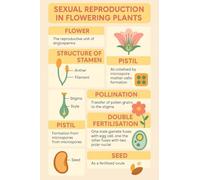 MDBJTCYZN Educational Botany Poster Flowering Plants Reproduction Biology Chart for Science Classroom Study Room(Framed,08x12inch(20x30cm))