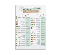 MDBJTCYZN Gardening Basics Poster Seed Starting Schedule Vegetable Companion Planting Reference Chart For Home Kitchen Wall Decor(Unframed,12X18inch(30X45cm))