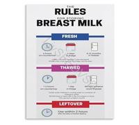 MDBJTCYZN Mom Essential Poster How to Store Breast Milk Lactation Reference Canvas Print for Pumping Room at Home(Unframed,16x24inch(40x60cm))