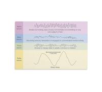 MDBJTCYZN Neuroscience Educational Poster Brain Wave Types Chart Neural Oscillations Study Guide Canvas Wall-Art for Psychology Classroom Office(Framed,16x24inch(40x60cm))