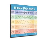MDBJTCYZN Neuroscience Eeg Brain Waves Chart Poster Alpha Beta Theta Delta Gamma Frequencies Infographic For Study Office Decor(Framed,08X12inch(20X30cm))