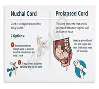 MDBJTCYZN Prehospital Delivery Emergencies Poster Obstetric Emergency Guide for EMS and First Responders Canvas Print(Unframed,12x18inch(30x45cm))