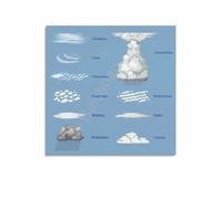 MDBJTCYZN The Cloud Atlas Poster Different Cloud Types Canvas Print Modern Wall-Art for Office Home Science Decor