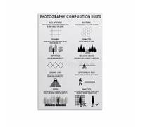 MDBJTCYZN Ultimate Composition Guide Canvas Print Photography Tips and Techniques Wall-Art for Creative Studio(Framed,16x24inch(40x60cm))