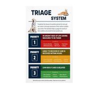 MDBJTCYZN Veterinary Clinic Wall-Art Pet Emergency Care Chart First Aid Triage Guide Educational Poster for Animal Hospital Training Facility Office(Unframed,16x24inch(40x60cm))