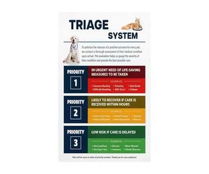 MDBJTCYZN Veterinary Clinic Wall-Art Pet Emergency Care Chart First Aid Triage Guide Educational Poster for Animal Hospital Training Facility Office(Unframed,16x24inch(40x60cm))