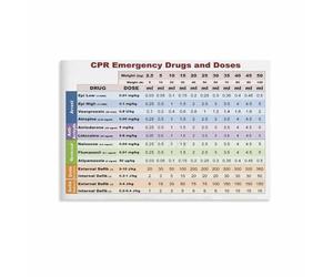 MDBJTCYZN Veterinary Technician Quick Guide Poster CPR Protocol Emergency Drug Doses Chart for Exam Room Office(Unframed,12x18inch(30x45cm))