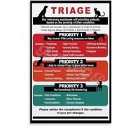MDBJTCYZN When to Call the Vet Poster Pet Emergency Symptom Guide for Dogs Cats Home Reference Chart Educational Wall Decor Art(Unframed,16x24inch(40x60cm))