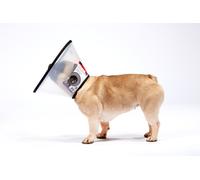 MDC Smart Dog Collar - Size: X Large