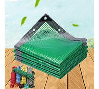 MDCG Clear Tarps Tarpaulin 150g/㎡ green Waterproof cloth balcony Plant potted patio Rainproof Transparante cloth Windproof Rain cloth linoleum (Color : Clear, Size : 2x3m)