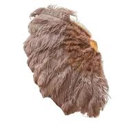 MDYTPT Dancing Fan 130CM 100CM Big Ostrich Feather Fan Fluffy 13 Bone Handheld Carnival Dance Stage Performance Feather Fan Plumes DIY Crafts for Dancing Performances(Coffee,Small Fan 1PCS)