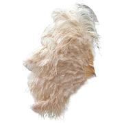 MDYTPT Dancing Fan 130CM 100CM Big Ostrich Feather Fan Fluffy 13 Bone Handheld Carnival Dance Stage Performance Feather Fan Plumes DIY Crafts for Dancing Performances(47 Khaki,Big Fan 2PCS)