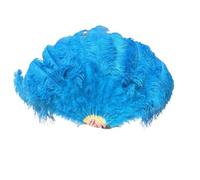 MDYTPT Dancing Fan 130CM 100CM Big Ostrich Feather Fan Fluffy 13 Bone Handheld Carnival Dance Stage Performance Feather Fan Plumes DIY Crafts for Dancing Performances(Color-24,Small Fan 1PCS)