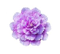 MDYTPT Large Artificial Peony Flower Window Display Studio Shooting Props Festival Celebration Dance Performance Peony Umbrella(Purple,70cm)