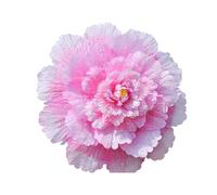 MDYTPT Large Artificial Peony Flower Window Display Studio Shooting Props Festival Celebration Dance Performance Peony Umbrella(Pink,80cm)