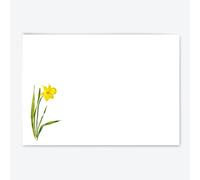 Me Loovely Yellow Daffodil Flat Notecard and Envelopes Set Floral Thank You Card Multipack Greeting Cards | Christmas Gifts (A6 Size, Without Folder)