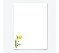 Me Loovely Yellow Daffodil Letter Writing Paper and Envelopes Set A5 Size Letters Papers Luxury Stationery Supplies | Christmas Gifts | Multipack of 20 (Refill Only)
