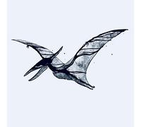 ME REX - Pterodactyl/Plesiosaur [VINYL]