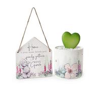 Me to You Faux Succulent & Plaque Gift Set Navy