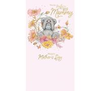 Me to You Tatty Teddy 'Best Mammy' Mother's Day Card 5 x 9" - Official Collection