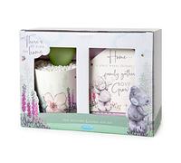Me to You Tatty Teddy Faux Succulent and Plaque Gift Set