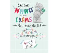 Me To You Tatty Teddy Good Luck In Your Exams Greeting Card 5x7ins - Official Collection